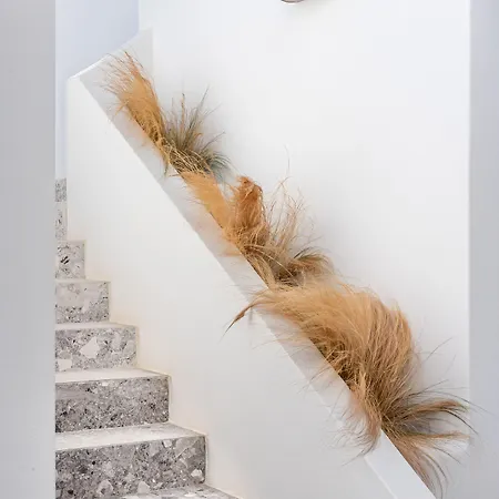 Ξενοδοχείο με διαμερίσματα Paros Cape